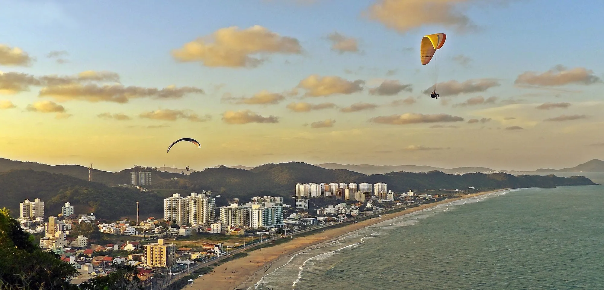 A Praia Brava vista do morro no fim da tarde, com a faixa de areia curvando até a ponta e os prédios encostados na encosta.