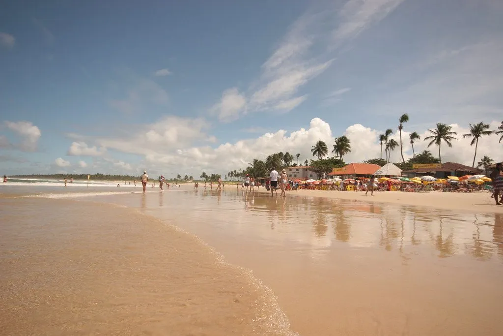 As barracas e a água rasa do Francês, no trecho em que o recife ainda segura o mar. O lado com onda começa ali adiante.