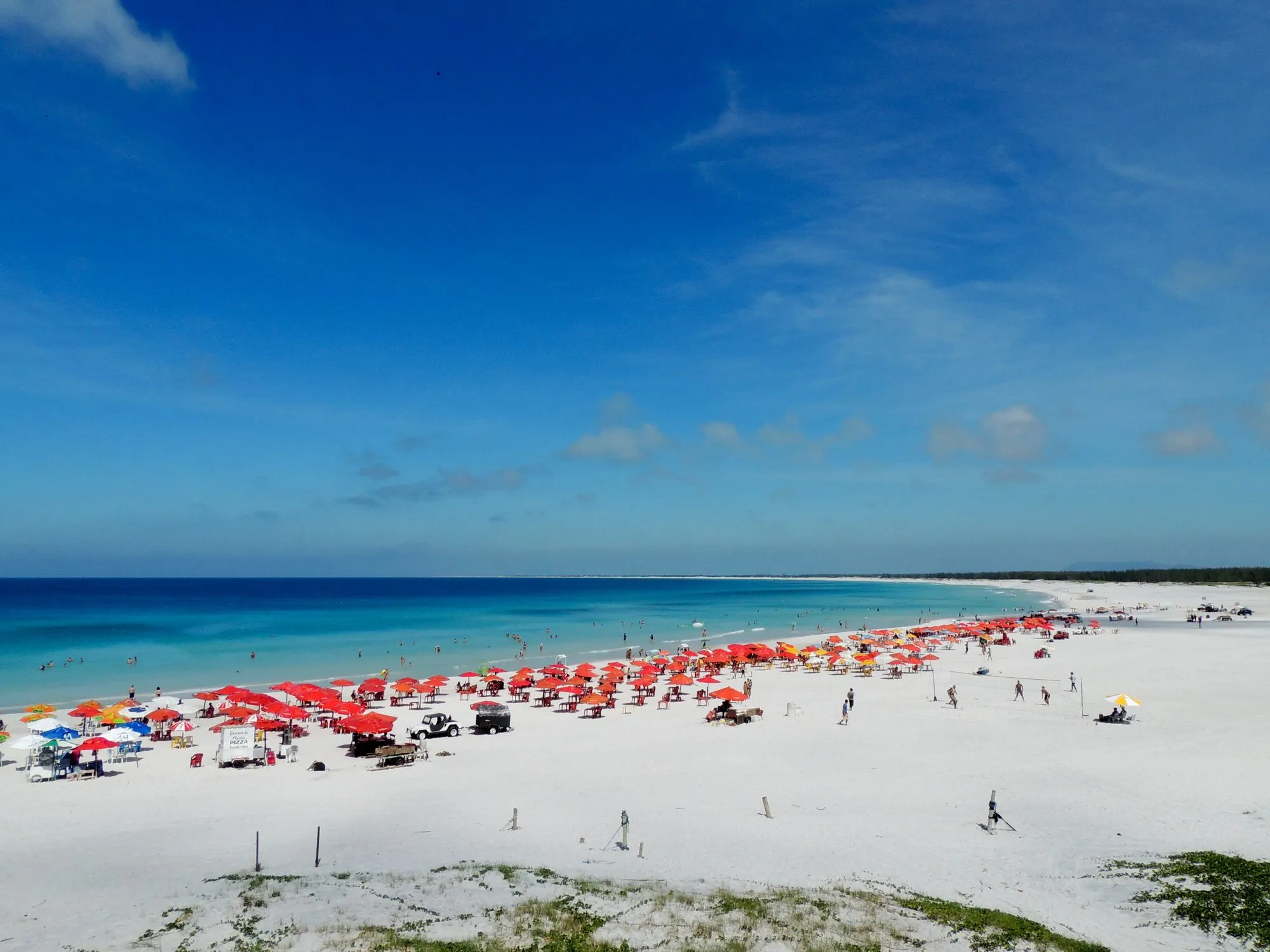 A curva da Praia Grande vista do alto, com a restinga em primeiro plano e a areia seguindo para oeste.