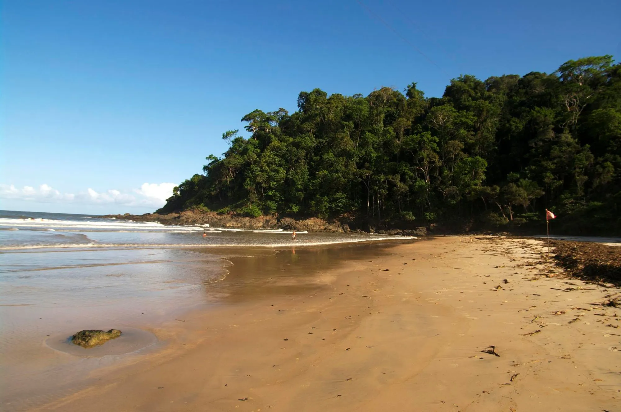 A mata atlântica descendo o morro até a areia em Itacaré, com o costão organizando o canto da enseada.